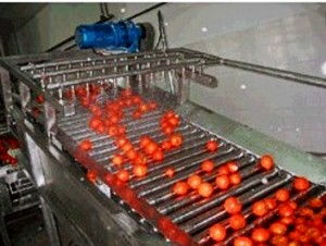 果蔬清洗機與果蔬烘干機 現(xiàn)代廚房的健康守護神