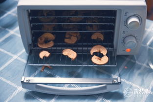 360°烘干，原汁原味即刻享用 金正家用食品水果烘干機全體驗